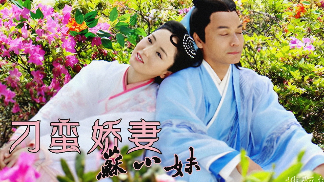刁蛮娇妻苏小妹剧照
