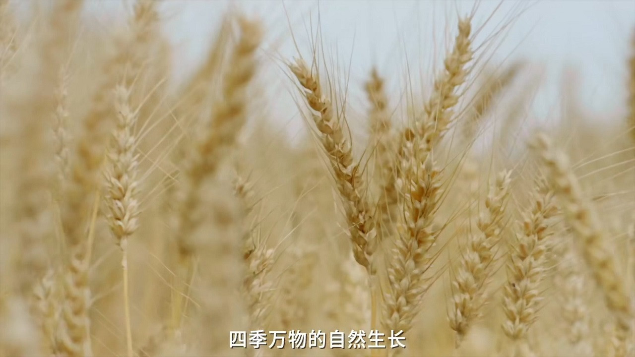 如此有面剧照