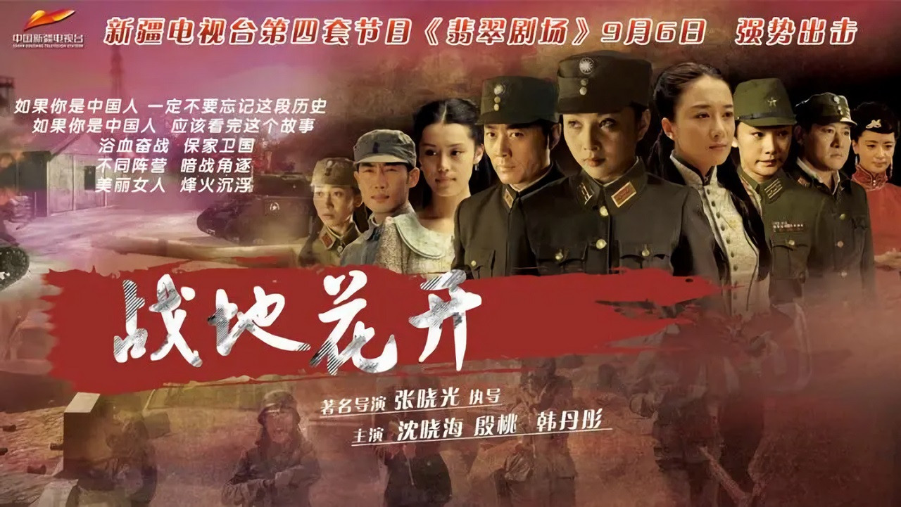 战地花开剧照