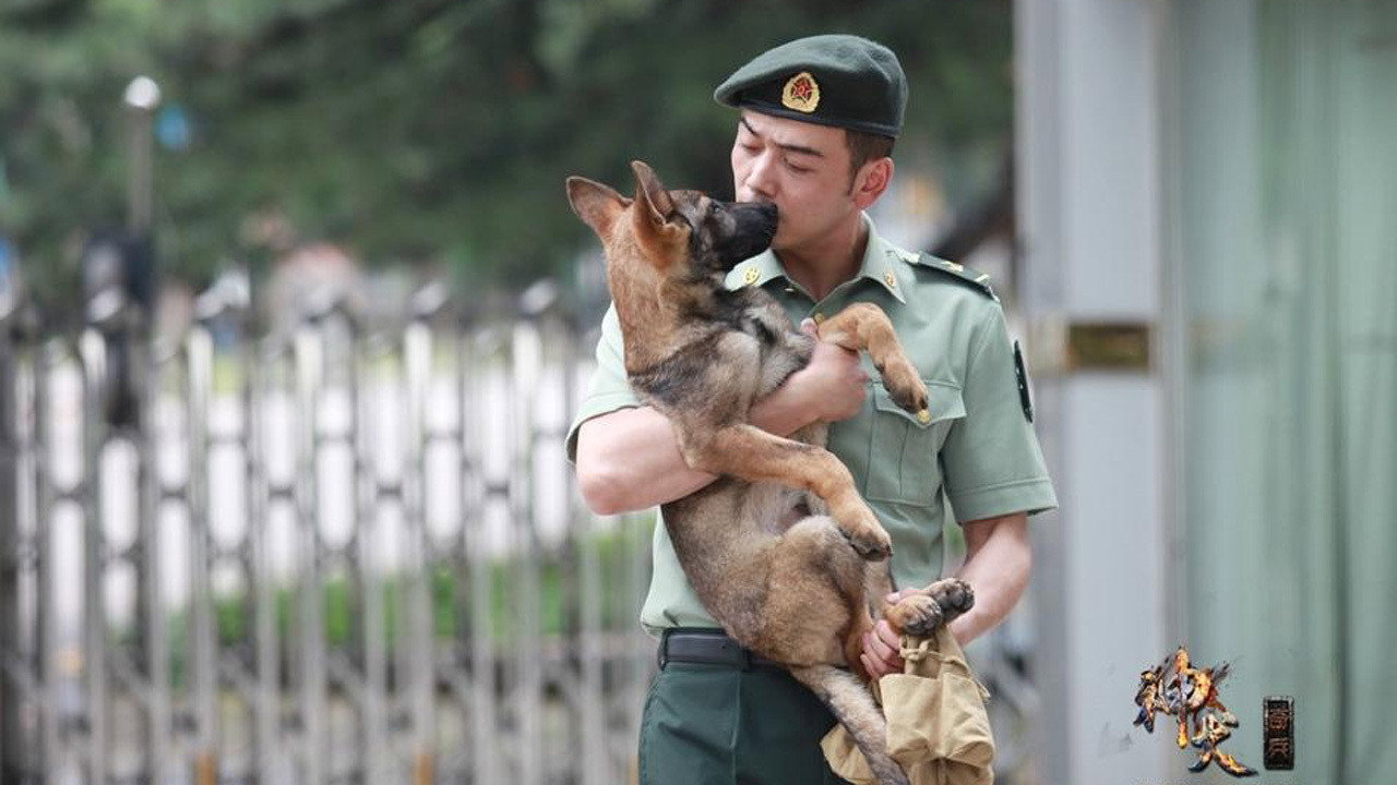 神犬奇兵剧照