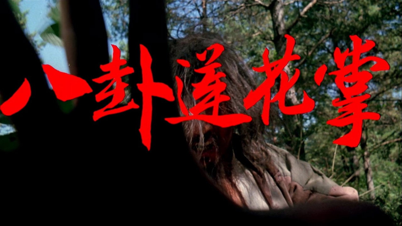 八卦莲花掌剧照
