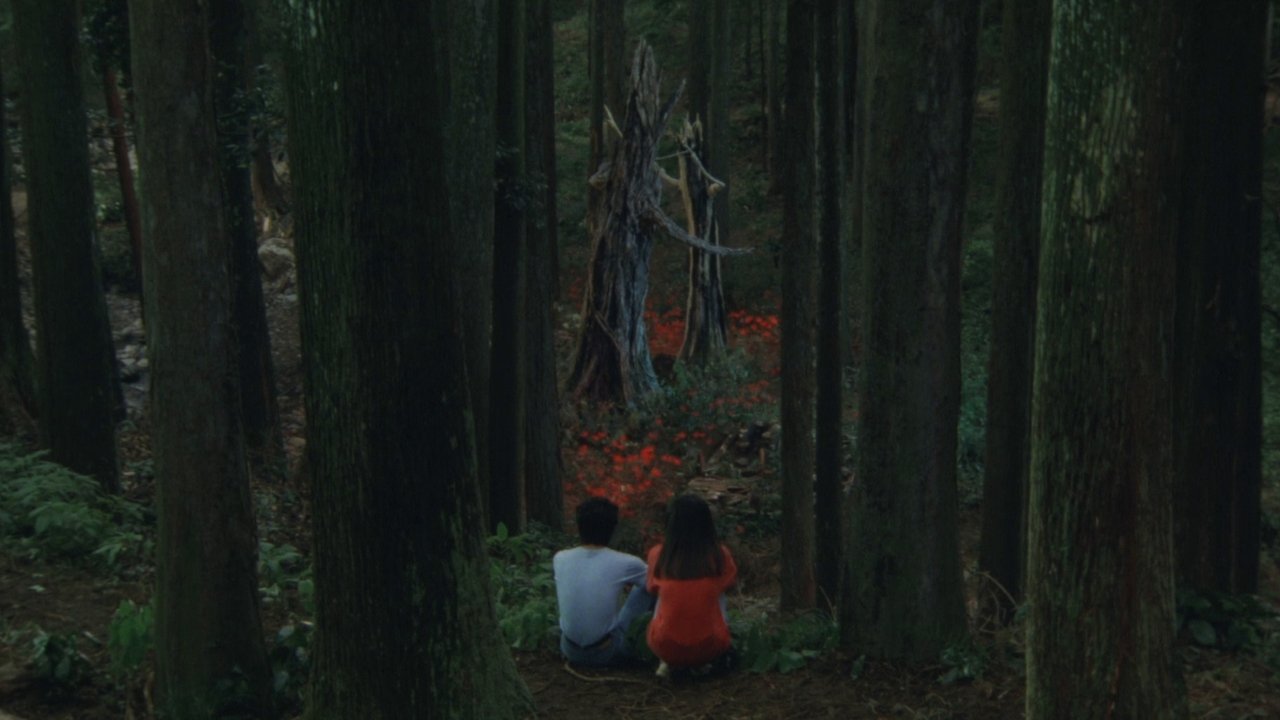 八月狂想曲剧照