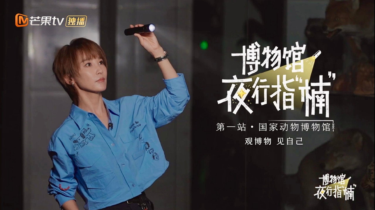 博物馆夜行指“楠”剧照