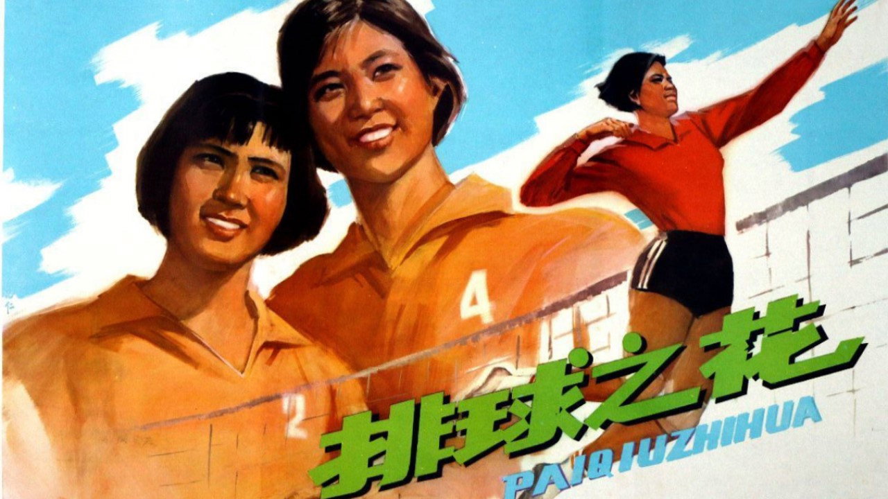 排球之花剧照