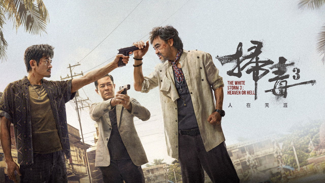 扫毒3：人在天涯剧照