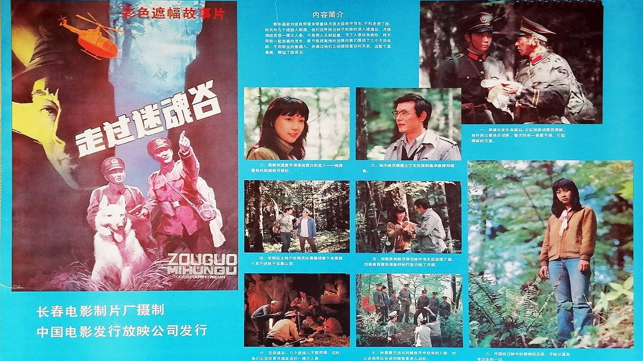 走过迷魂谷剧照