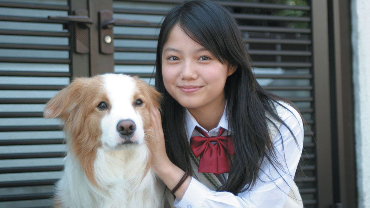 狗狗心事剧照