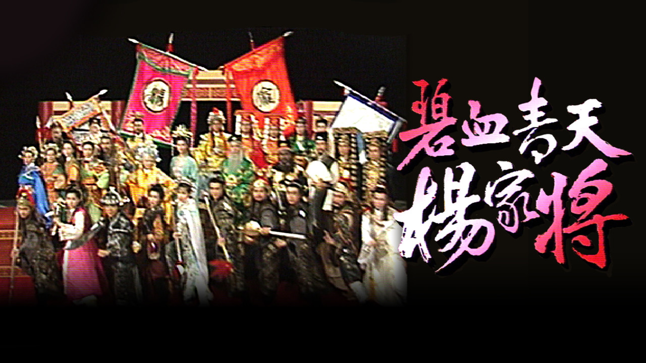 碧血青天杨家将剧照