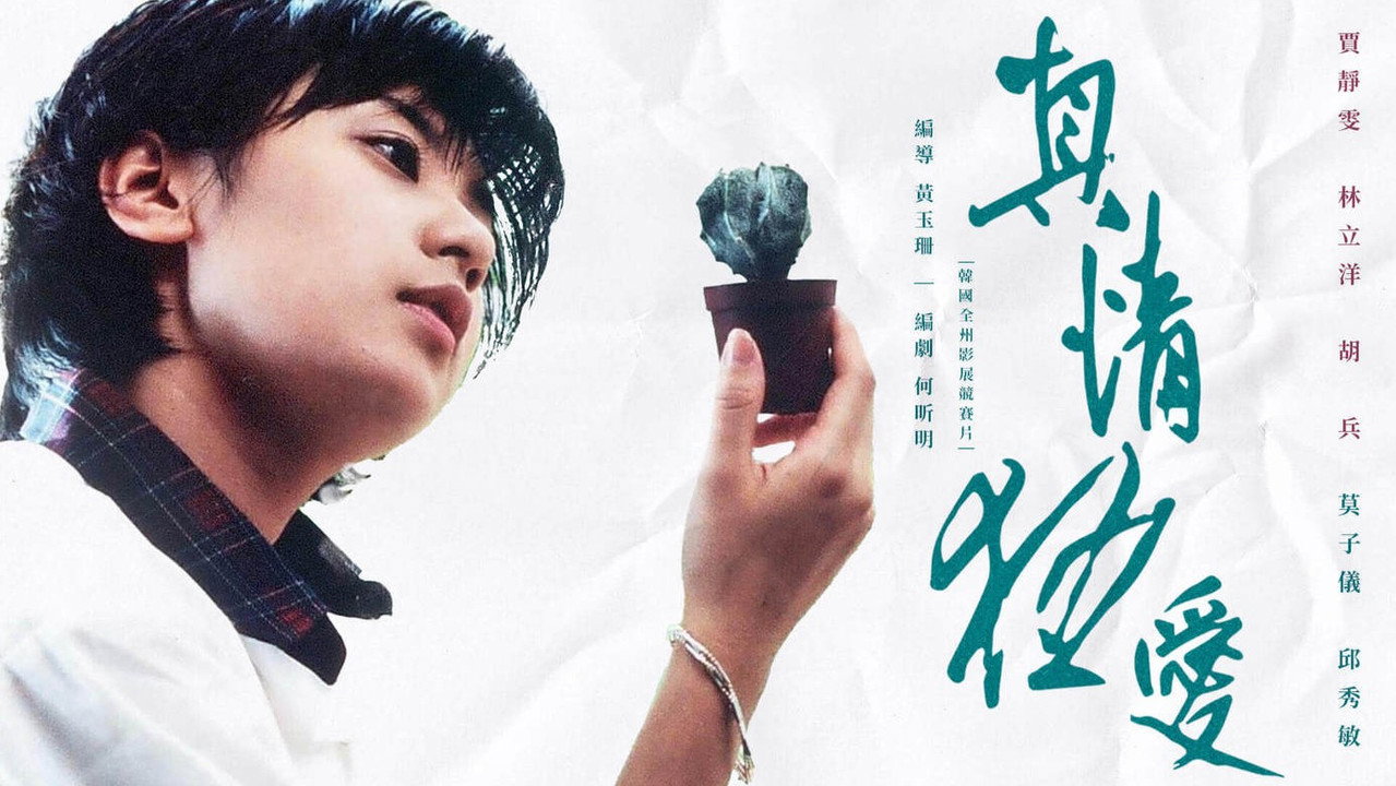 真情狂爱剧照