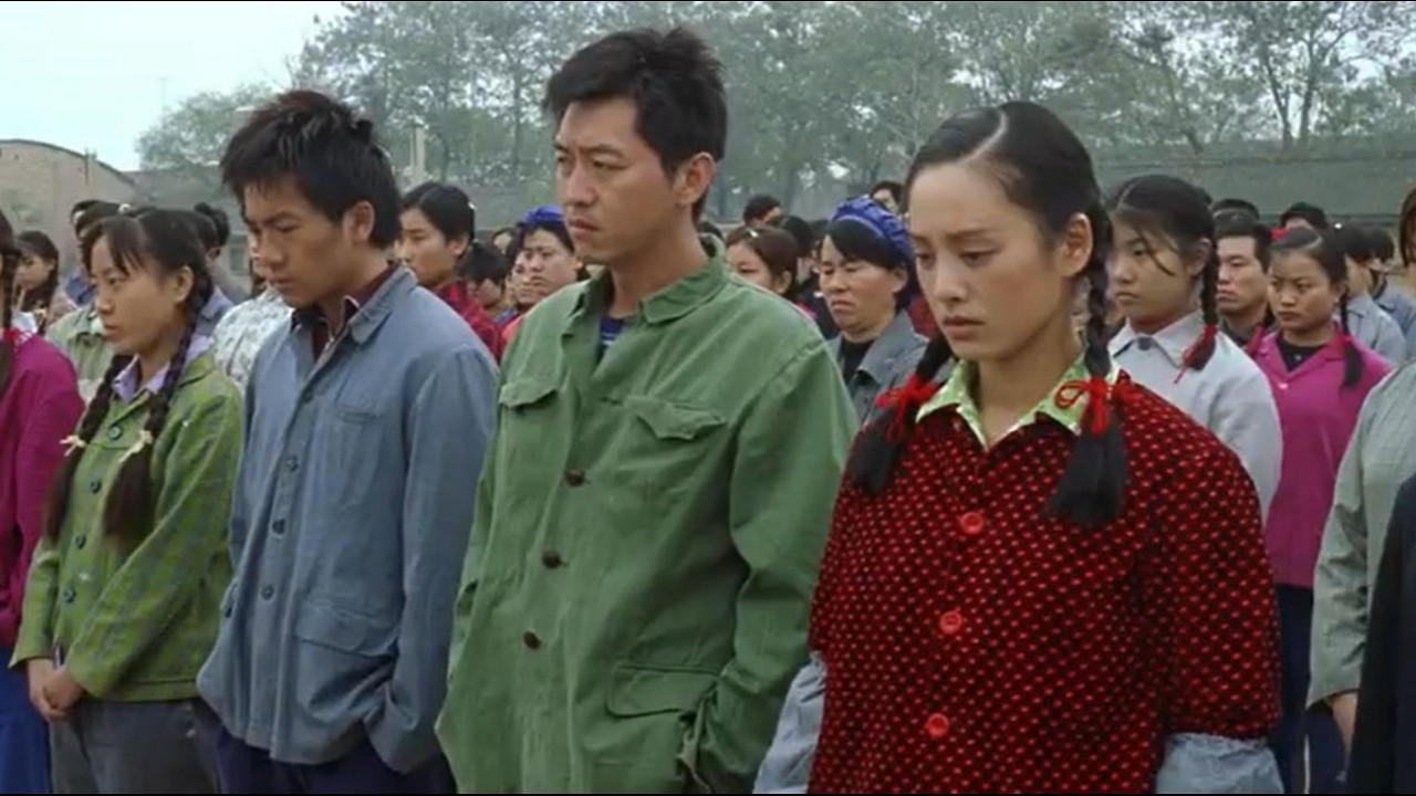 白棉花剧照