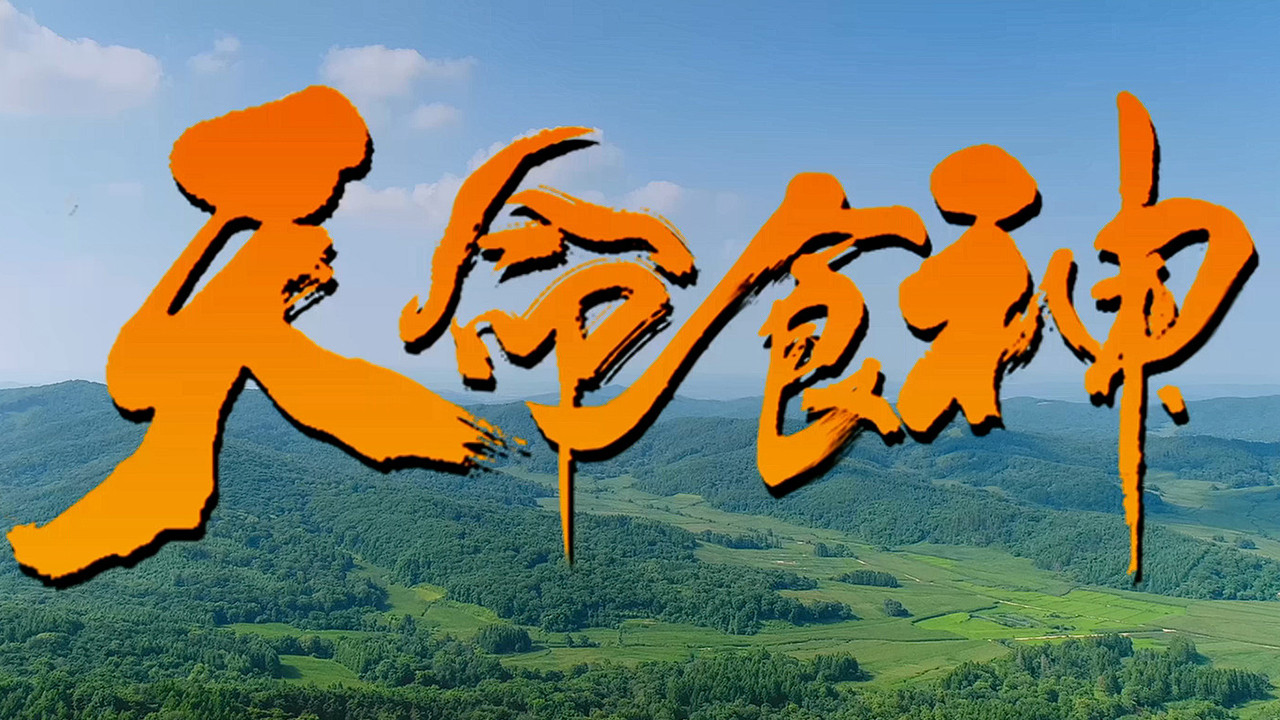 天命食神剧照