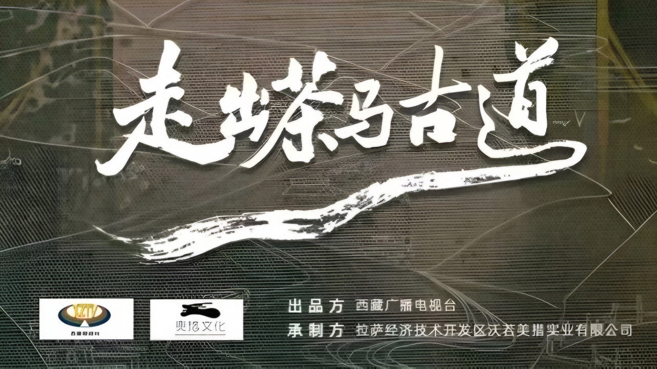 走出茶马古道剧照