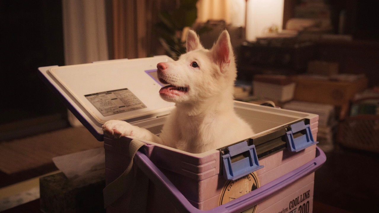 心犬相随剧照