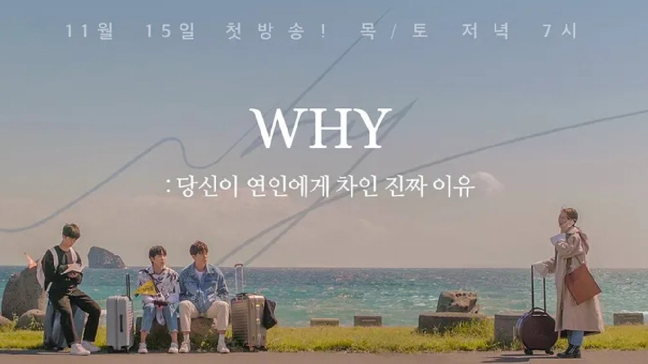 WHY：你被恋人甩的真正理由剧照