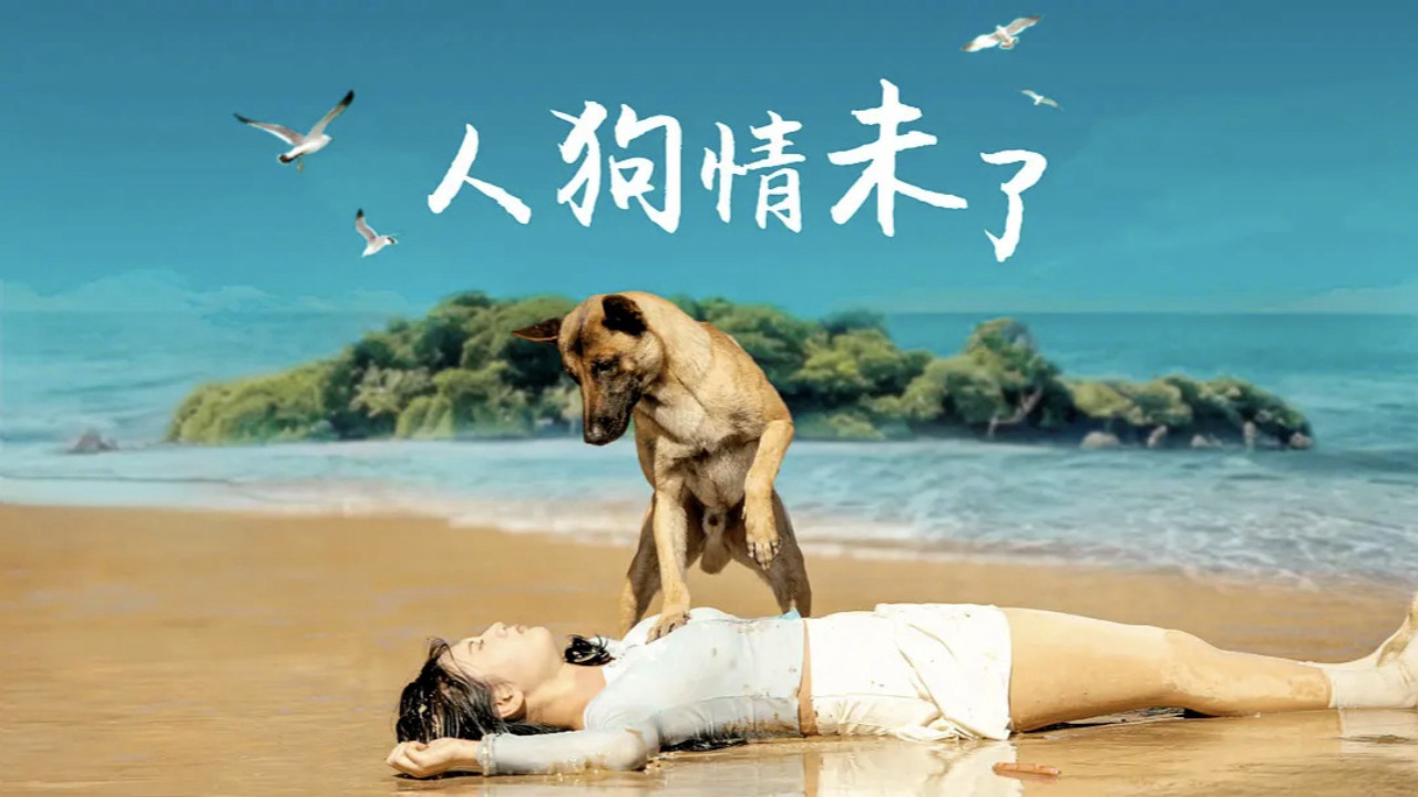 人狗情未了剧照