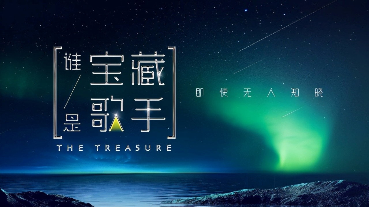 谁是宝藏歌手剧照