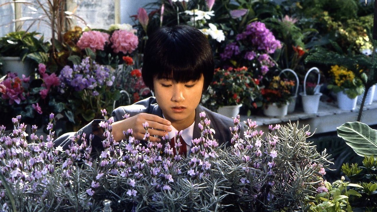 穿越时空的少女剧照