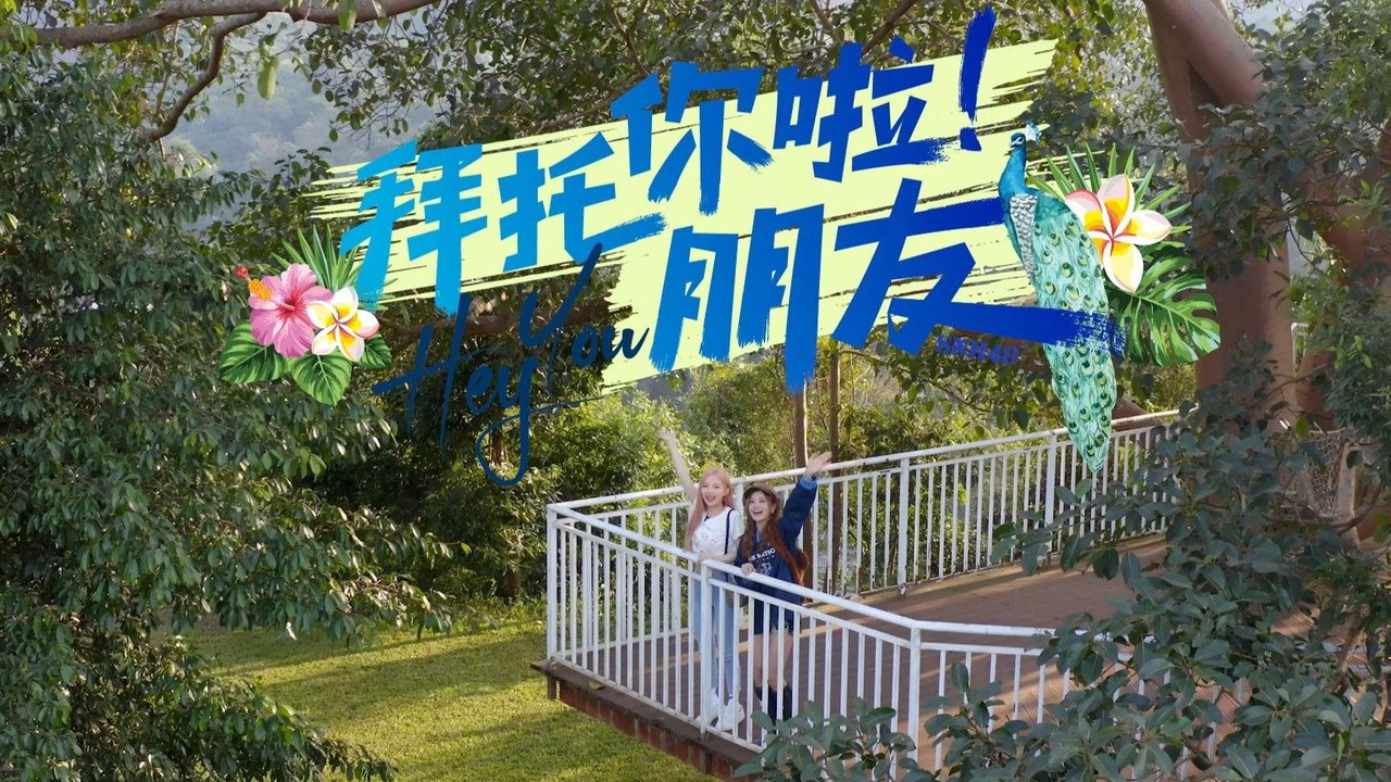 拜托你啦！朋友剧照