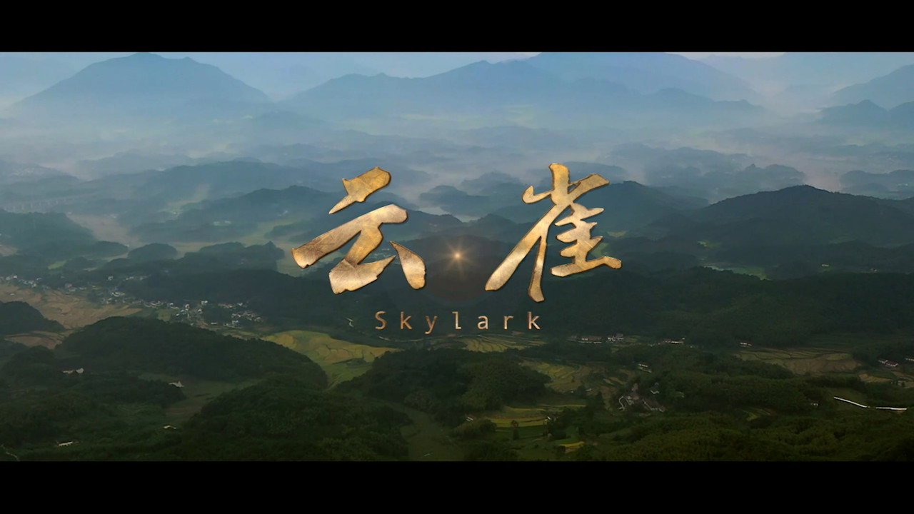 云雀剧照