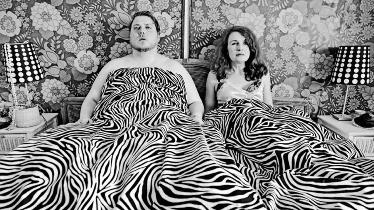 黑马剧照