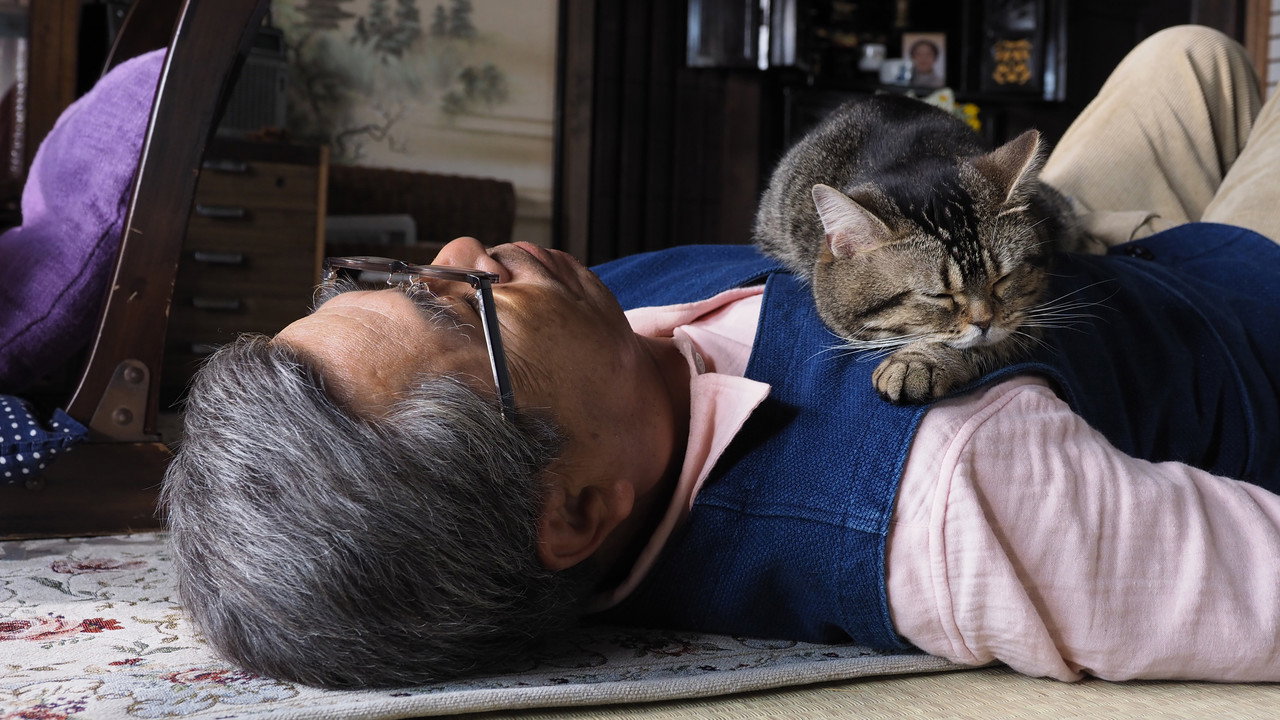 猫与爷爷剧照