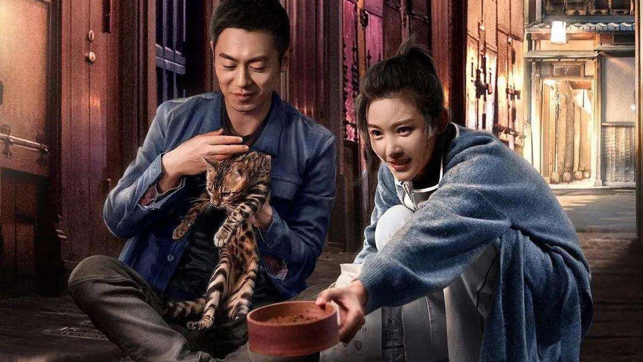 赖猫的狮子倒影剧照