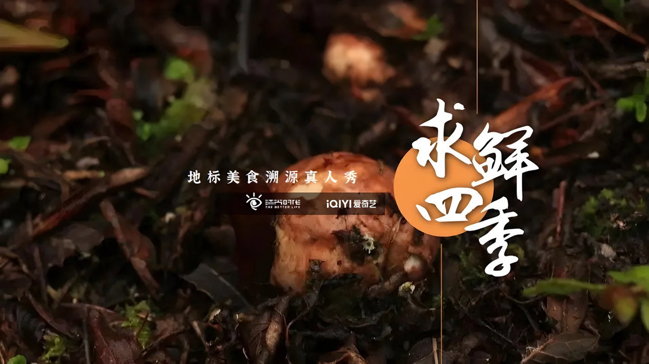 求鲜四季剧照