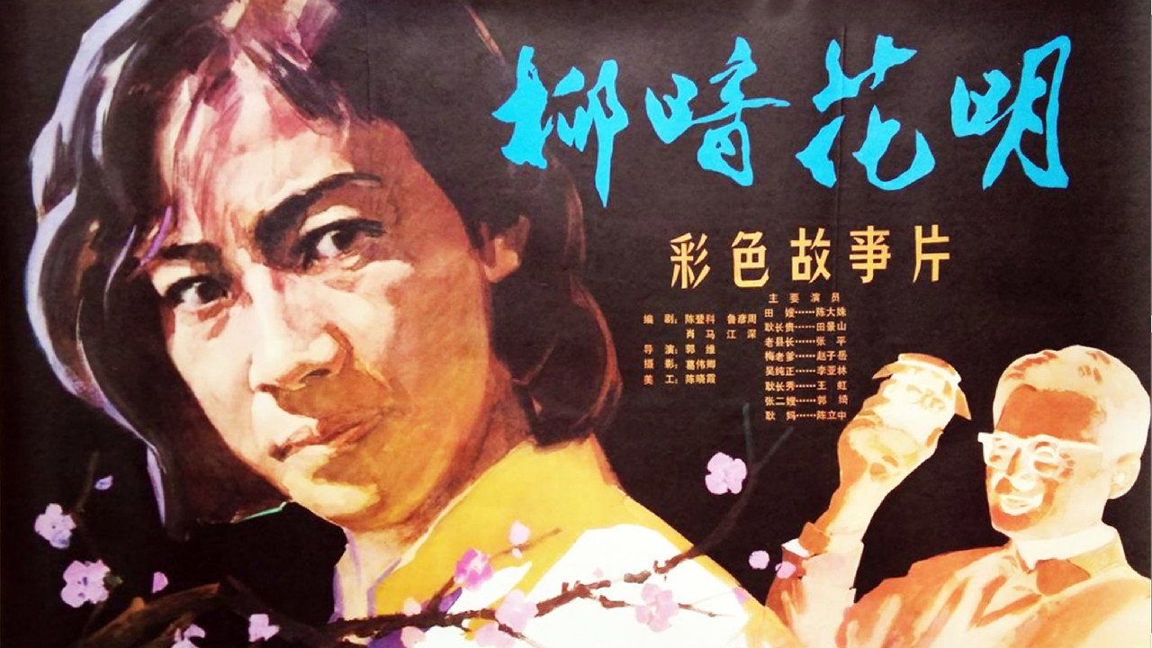 柳暗花明剧照