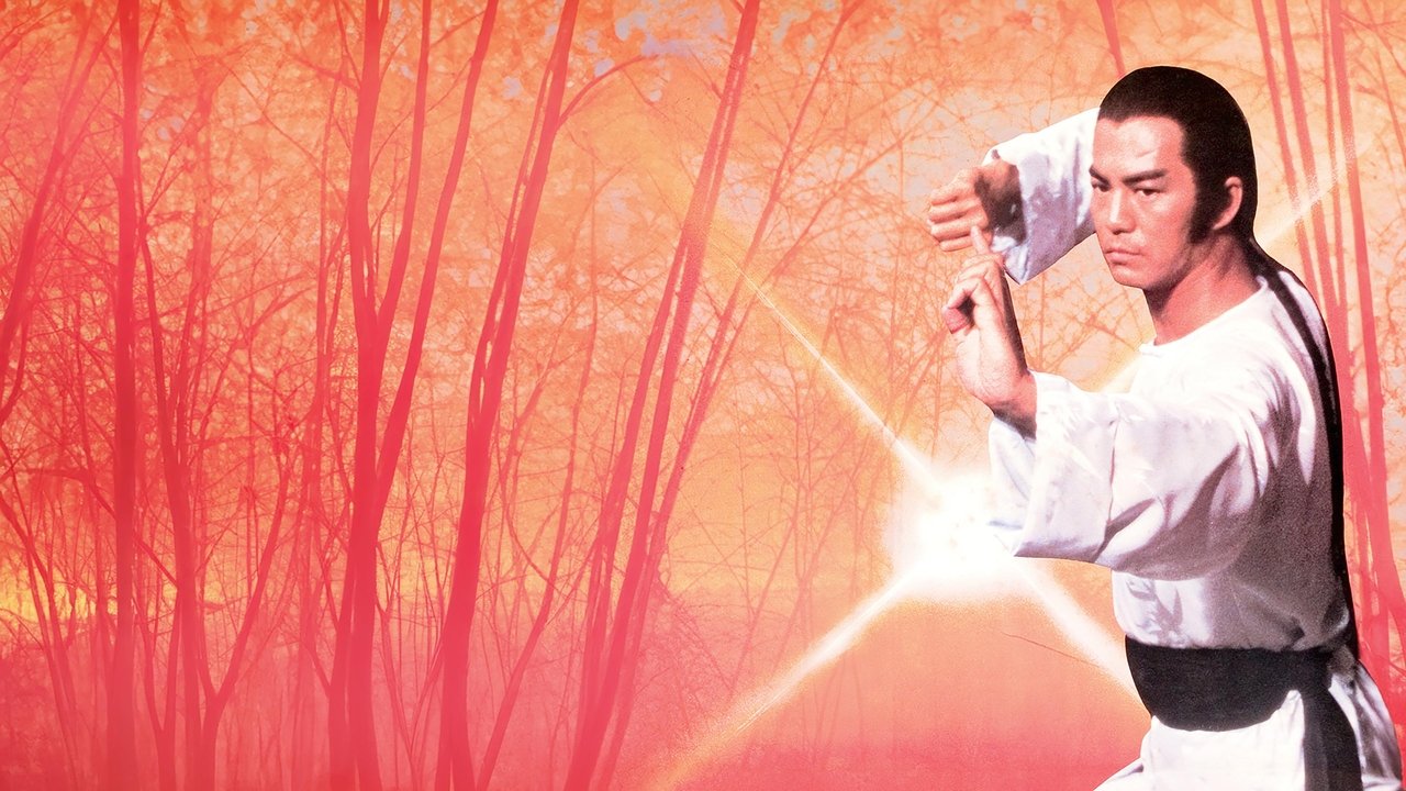 洪拳大师剧照