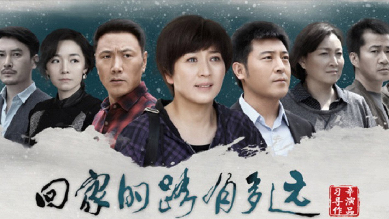 回家的路有多远剧照