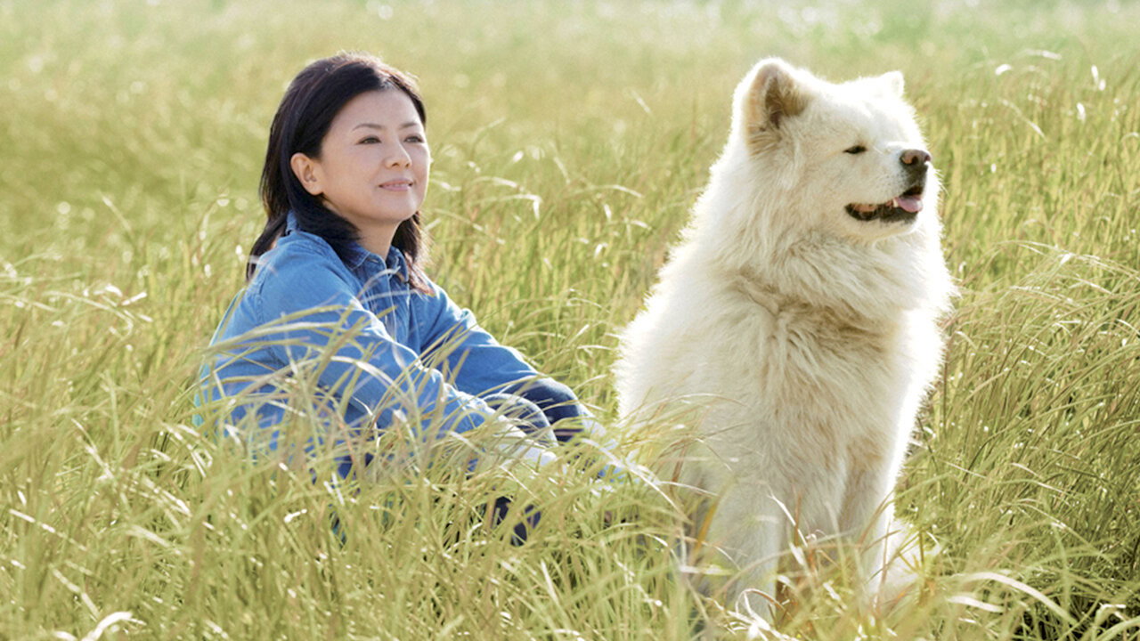 秋田犬蓬夫剧照