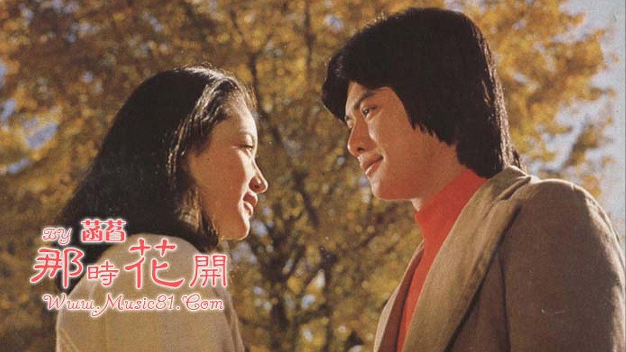 枫叶情剧照