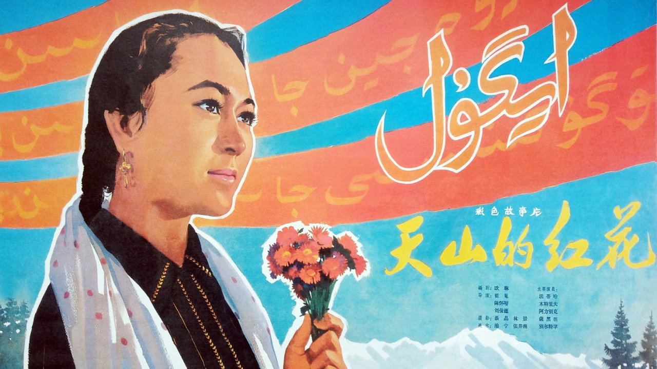 天山的红花剧照