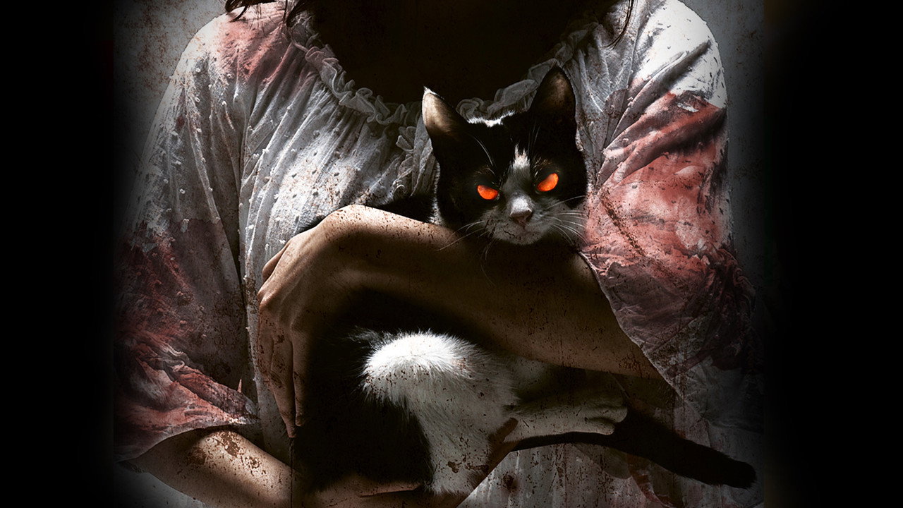 猫：看见死亡的双眼剧照