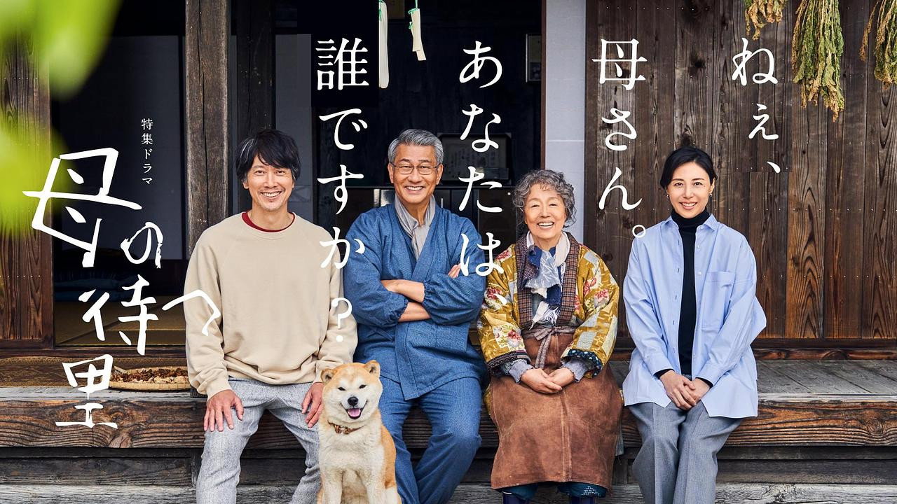 有母亲等待的故乡剧照