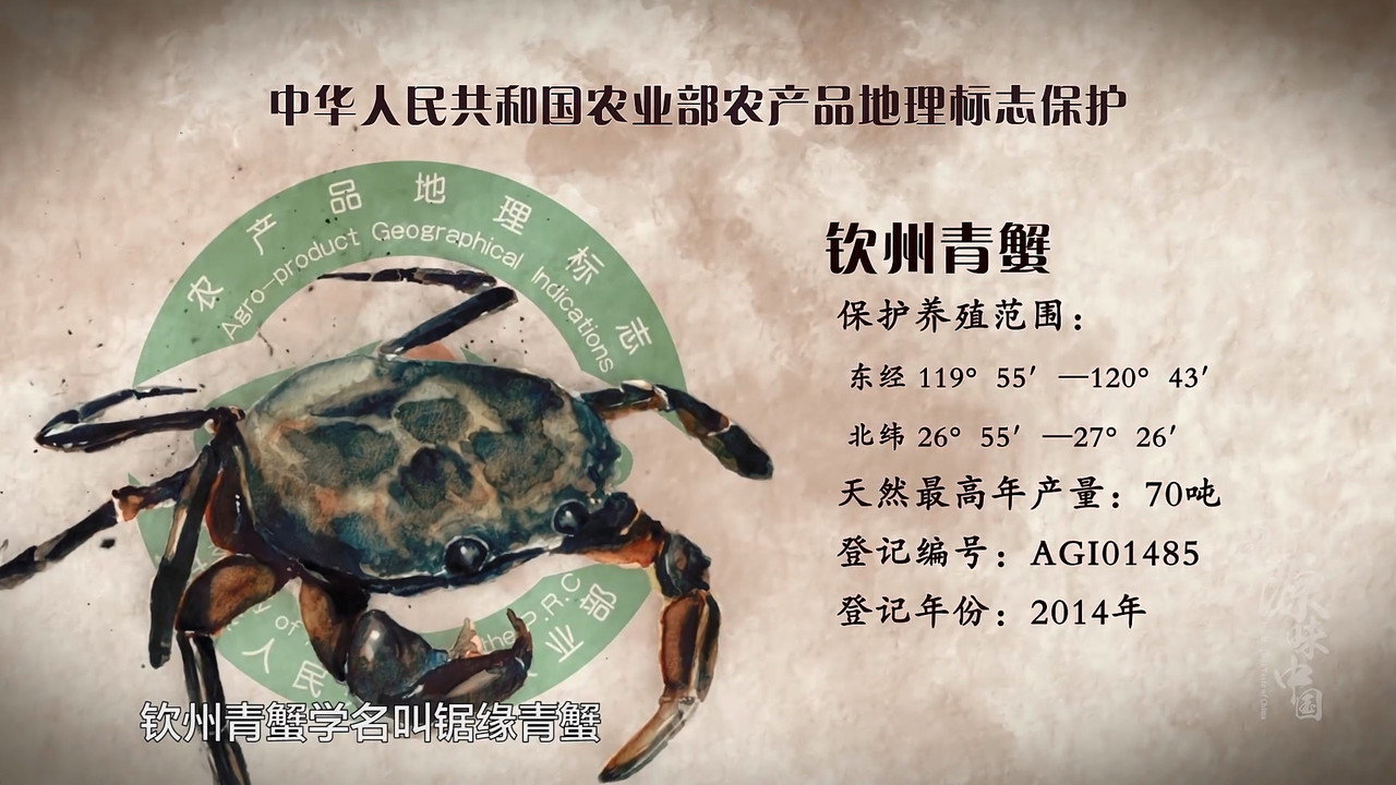 源味中国剧照