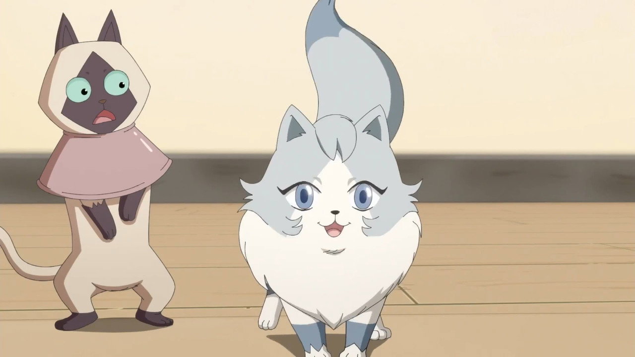 猫先动的手！剧照