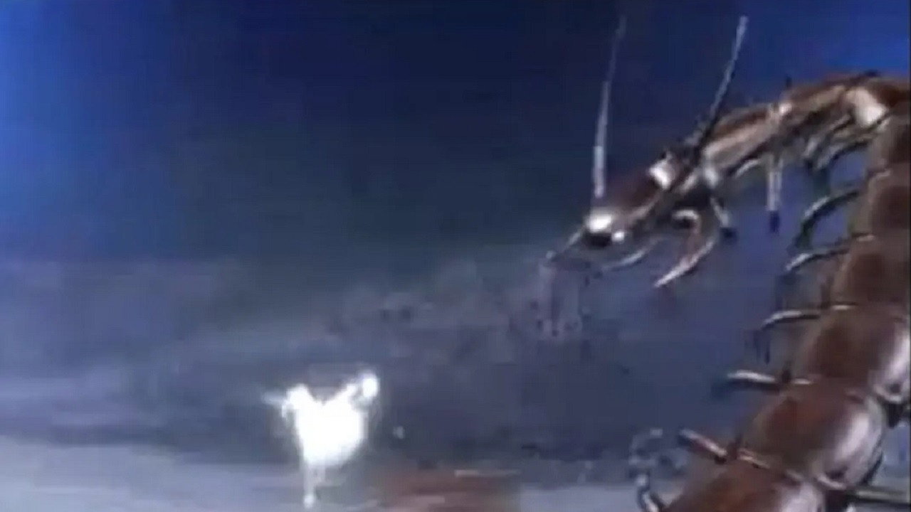 夜光神杯剧照