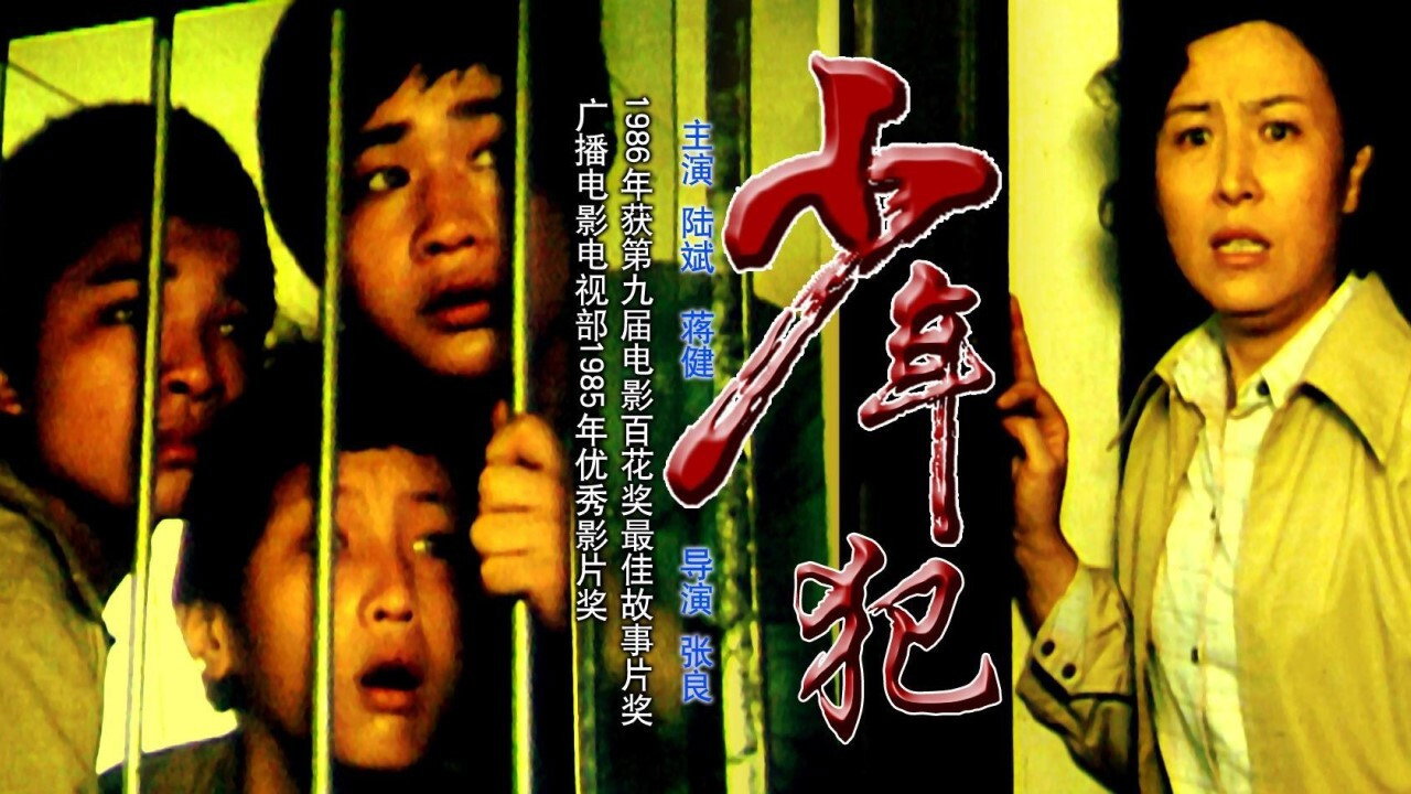 少年犯剧照