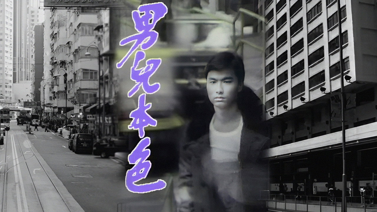 男儿本色剧照