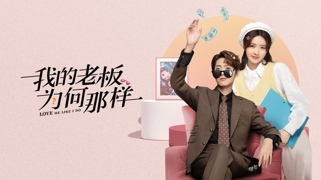 我的老板为何那样剧照