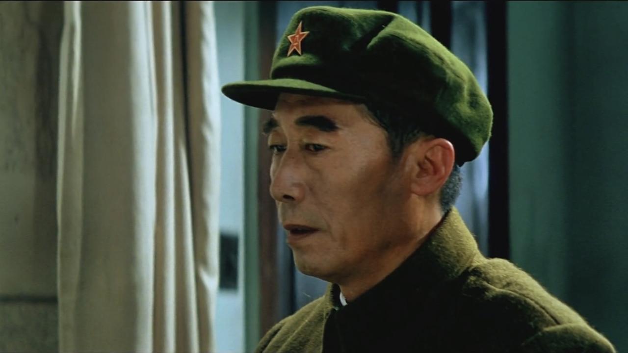 大进军2：南线大追歼剧照