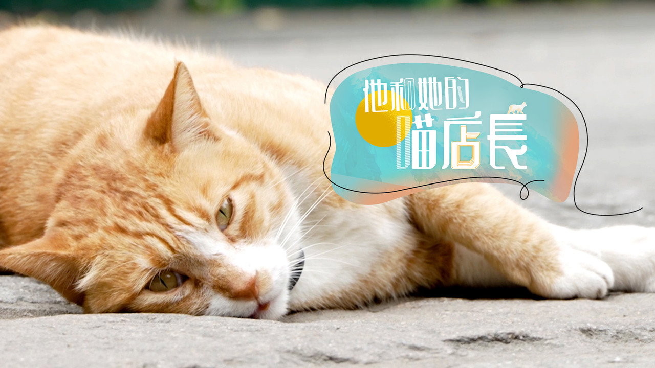 他和她的喵店长剧照
