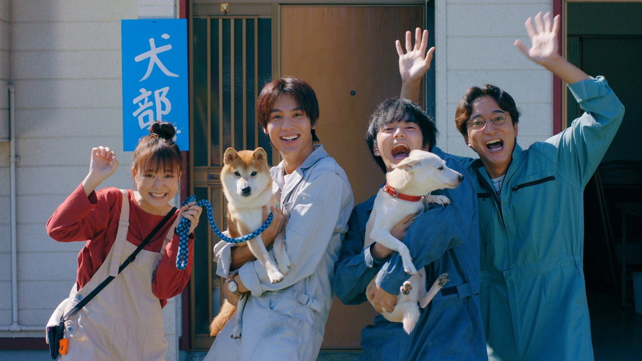 犬部！剧照