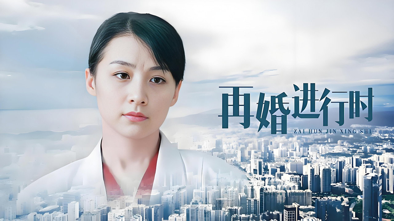 再婚进行时剧照