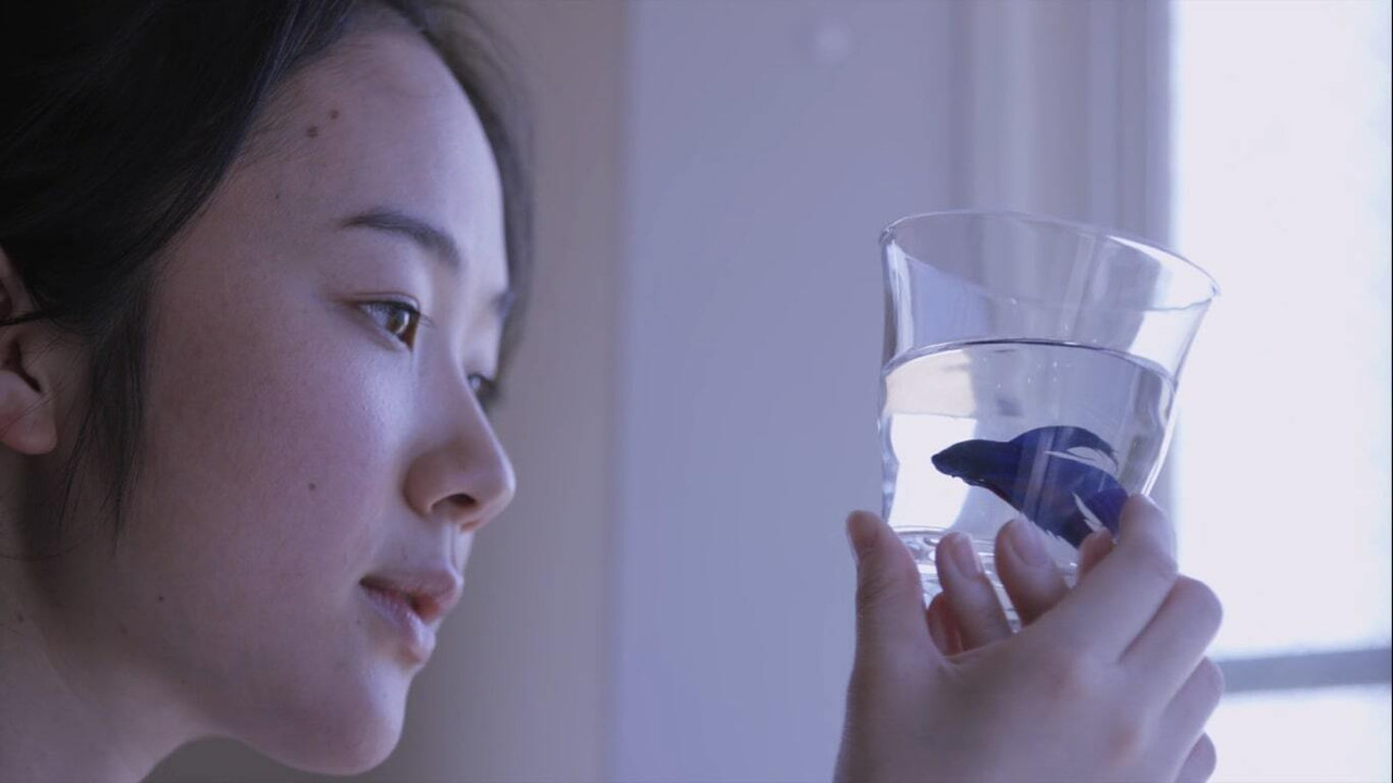瑞普·凡·温克尔的新娘剧照