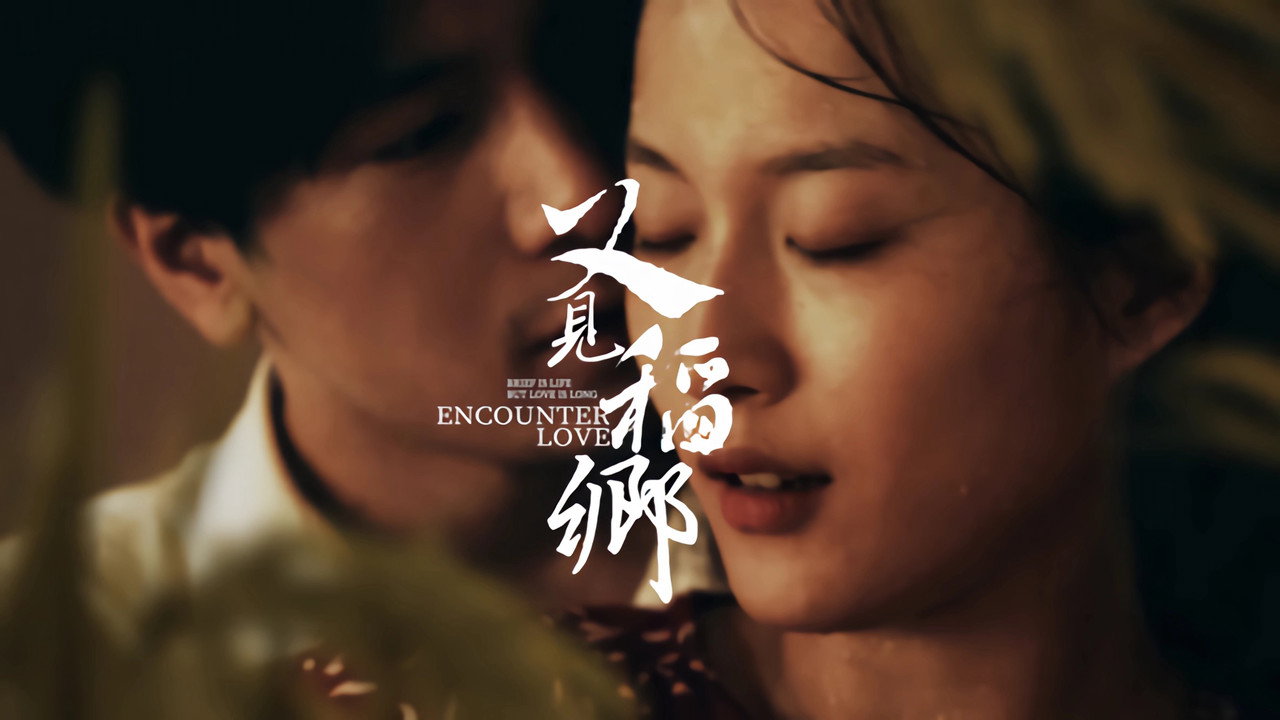 又见稻乡剧照