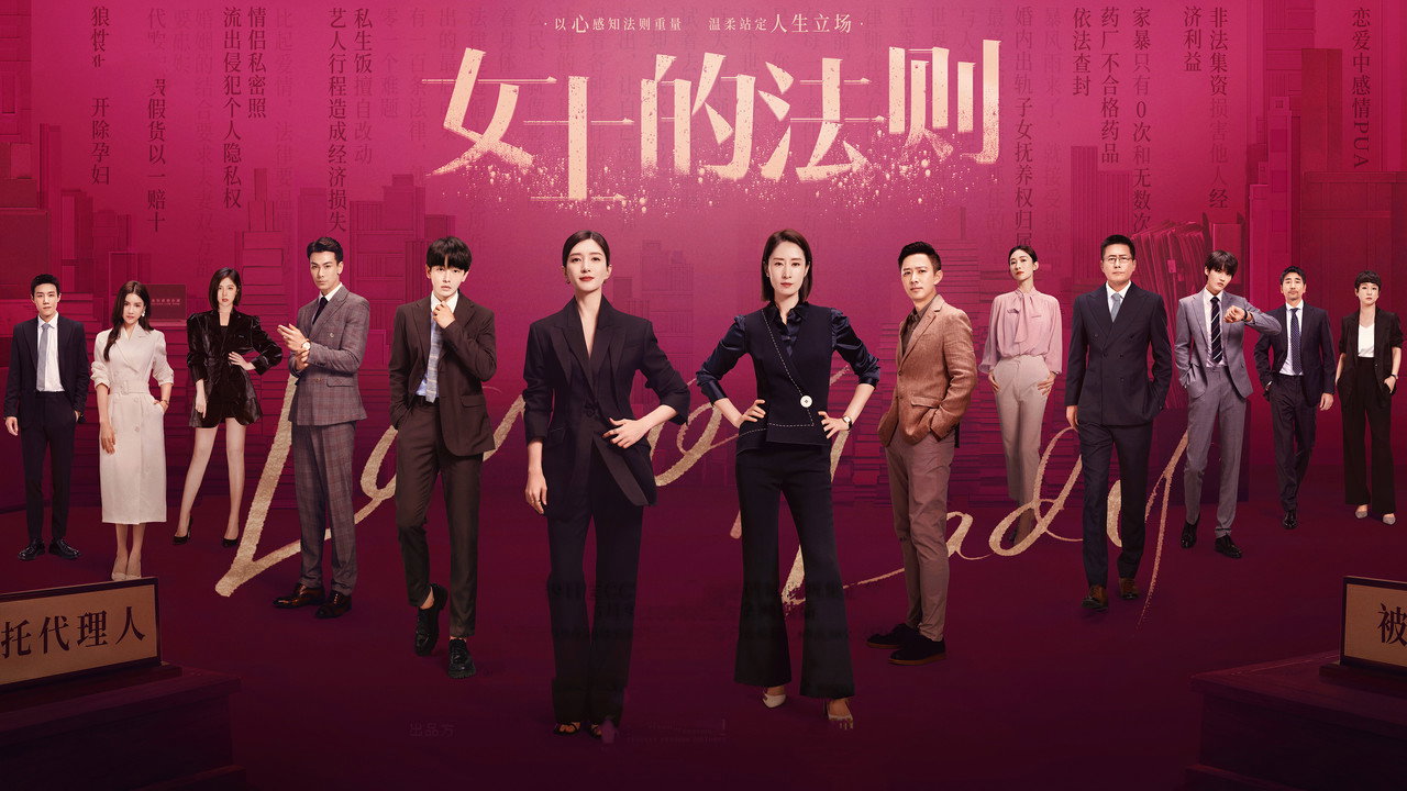 女士的法则剧照