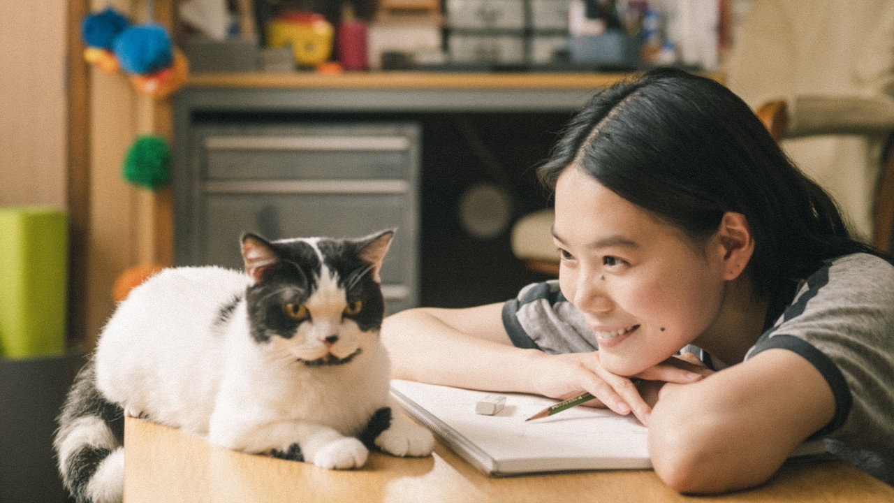 猫猫逃走了剧照