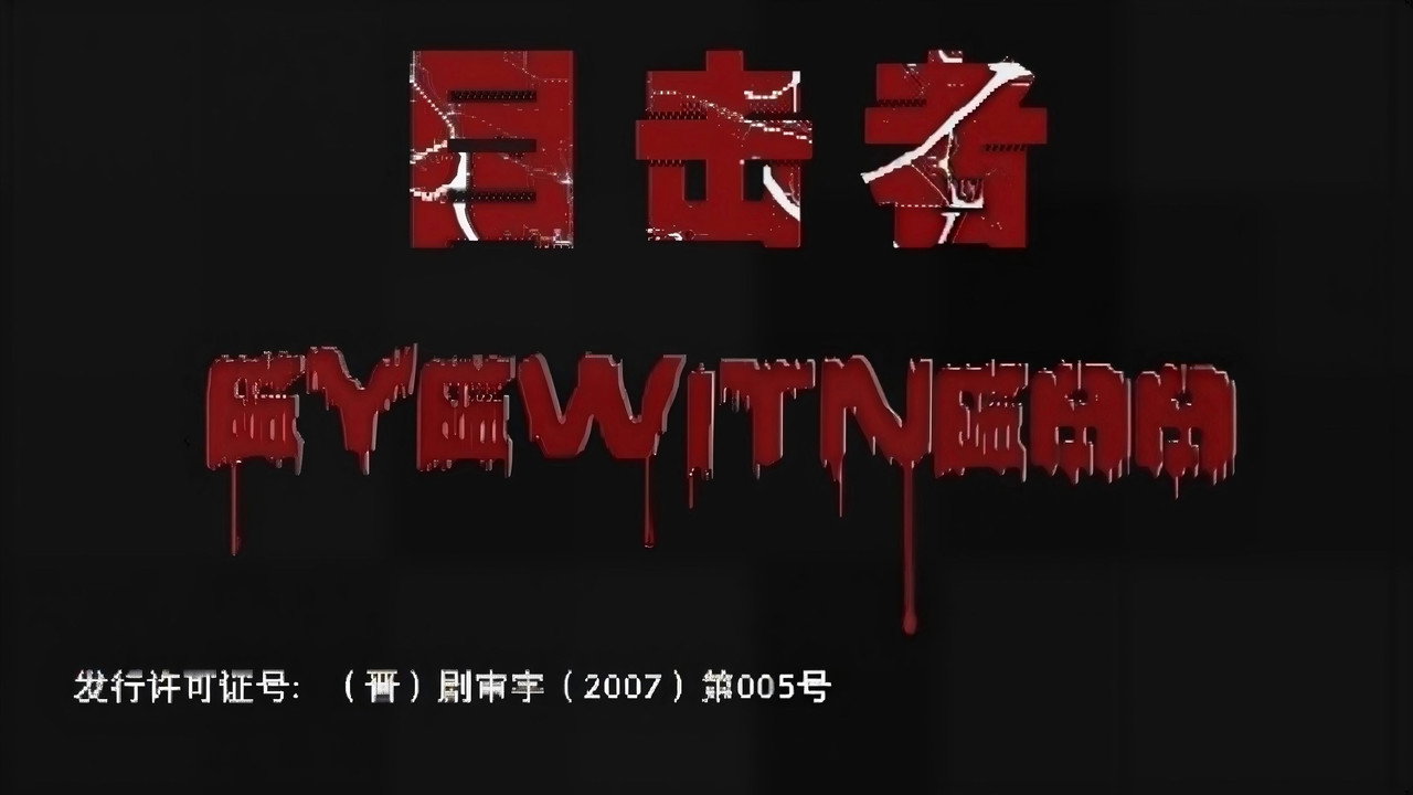 目击者剧照